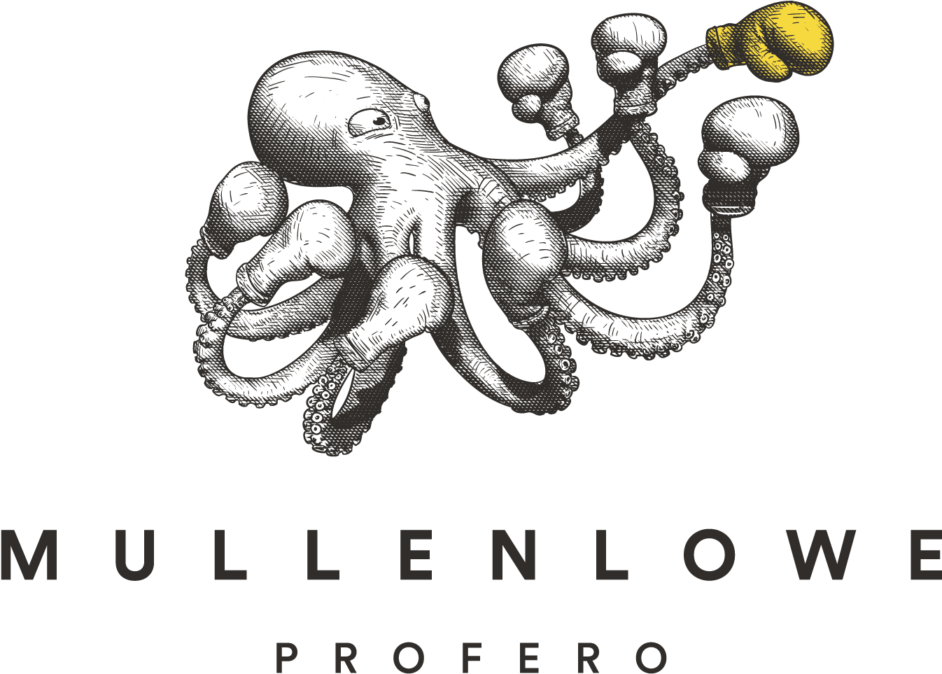 Social Data & Social Media Analytics Platform - Mullen Lowe Profero (1542x1271), Png Download