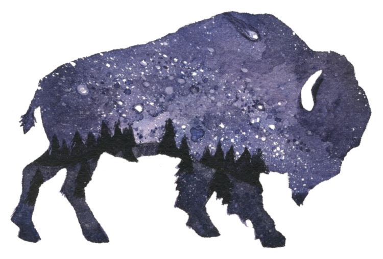 Chloe Jane Made Watercolor Illustration Designer Recommendations - Bison (750x508), Png Download