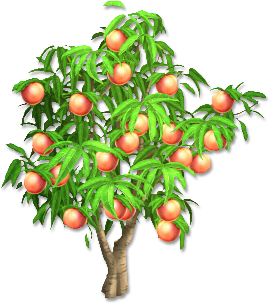Peach Tree - Hay Day Peach Tree (1051x1051), Png Download