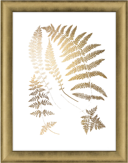 Gold Foil Ferns Ii Ashton Wall Décor Llc Trends Gold Foil Ferns Ii Ashton