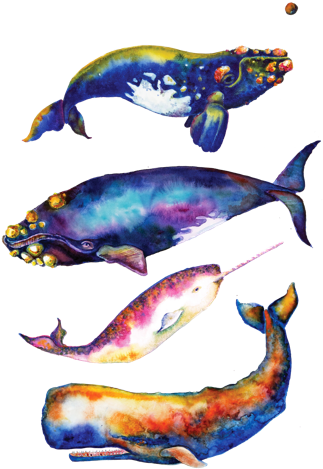 Watercolor Whales - - Whale Pyramid #4 - Watercolor Whales Canvas Print - (330x494), Png Download
