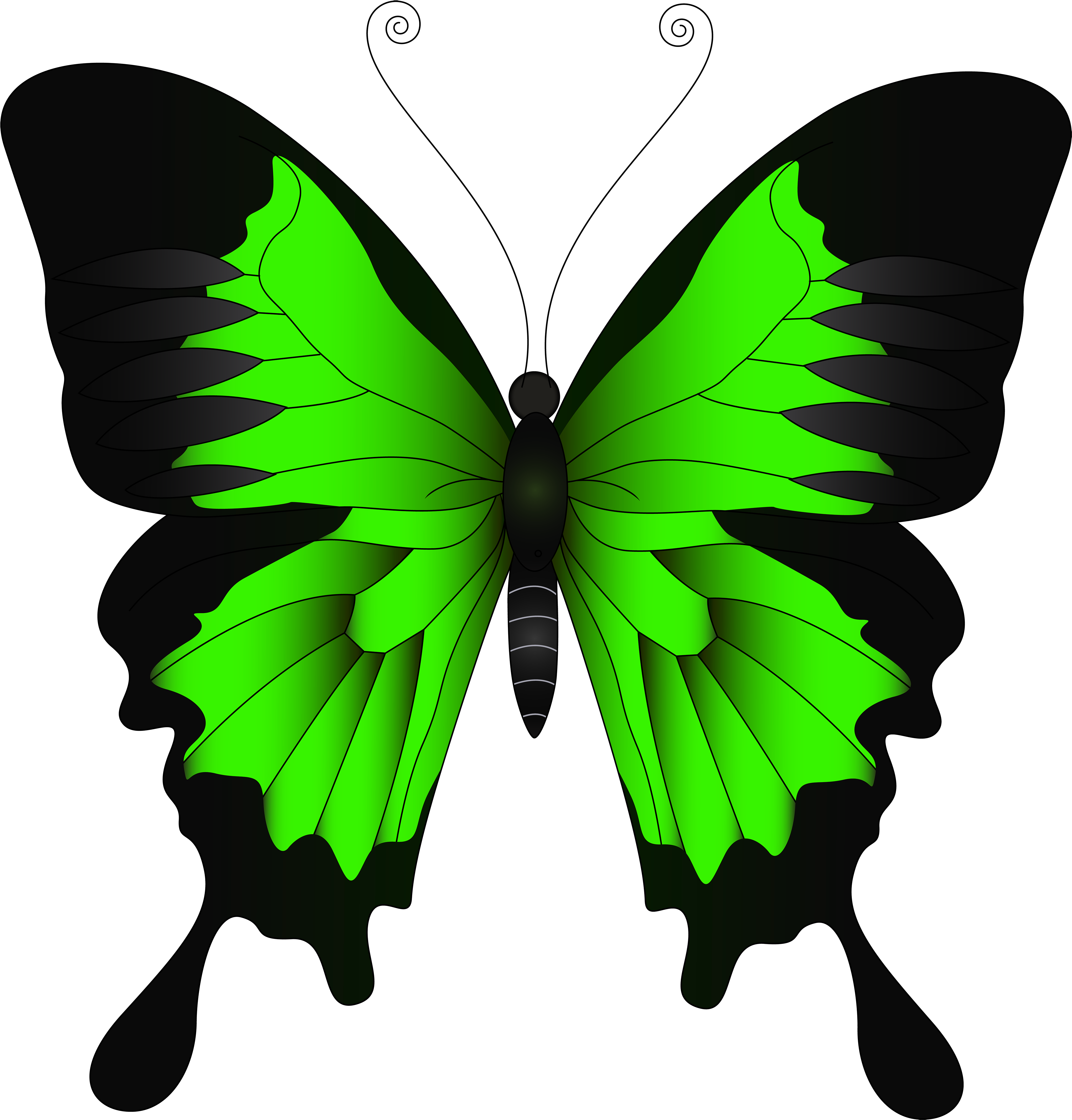 Png Clip Art Image Gallery Yopriceville High - Butterfly Violet (4783x5000), Png Download