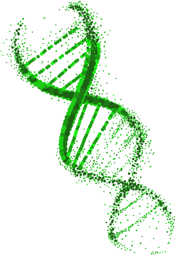 Scottish Dna Replication Network - Dna (372x546), Png Download