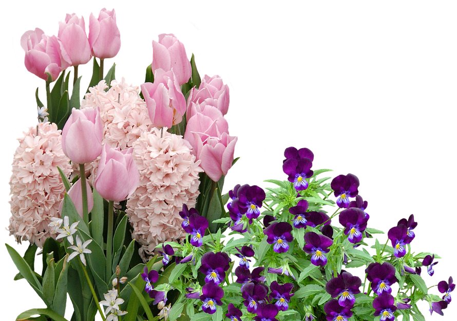 Easter Flower Png - Easter Flowers Png (960x715), Png Download
