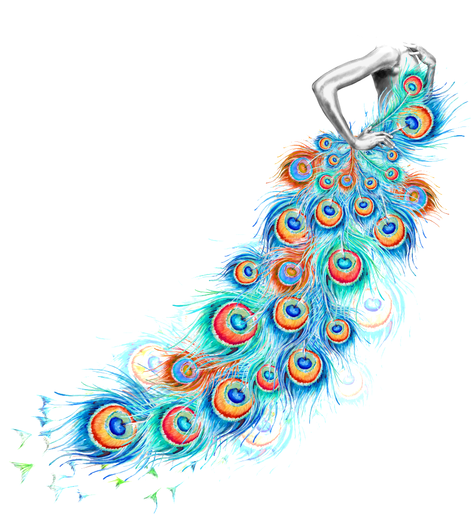 Watercolor Painting Feather Designer - Peacock Feathers Design And Art (1024x1024), Png Download