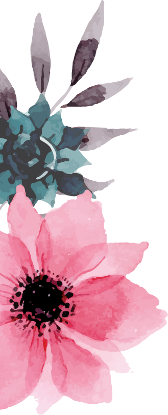 Collections - Poppy (329x813), Png Download