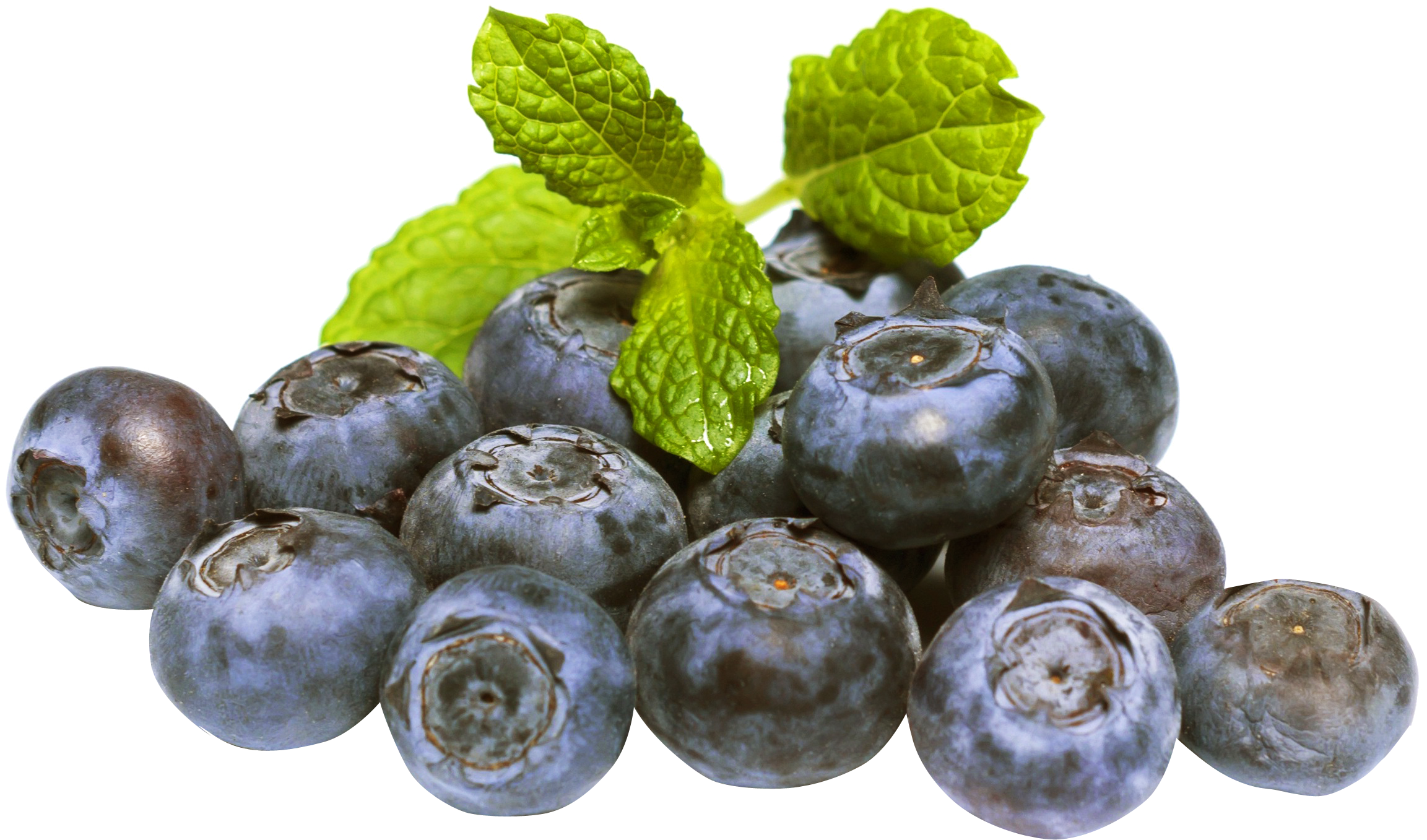 Png Photo, Blueberries, Blueberry - Blueberries Png (500x304), Png Download