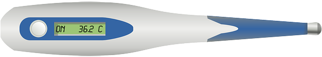 You Can Get A Basal Body Thermometer At Most Drug Stores - Body Temperature Thermometer Png (640x320), Png Download