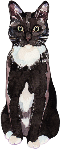 White, Cat And Wallpaper Image On We Heart It - Watercolor Black And White Cat (500x625), Png Download