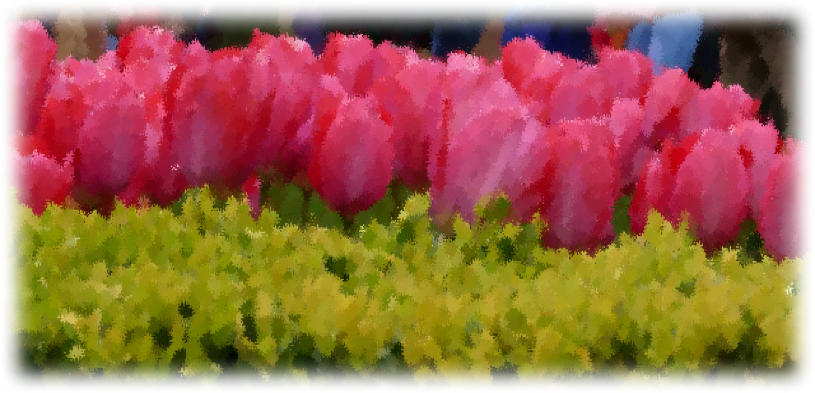 17 Jan - Grass (815x393), Png Download