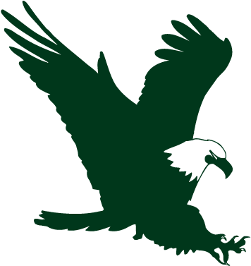 Swift Eagle Charitable Foundation - Green Eagle Logo Png (376x389), Png Download