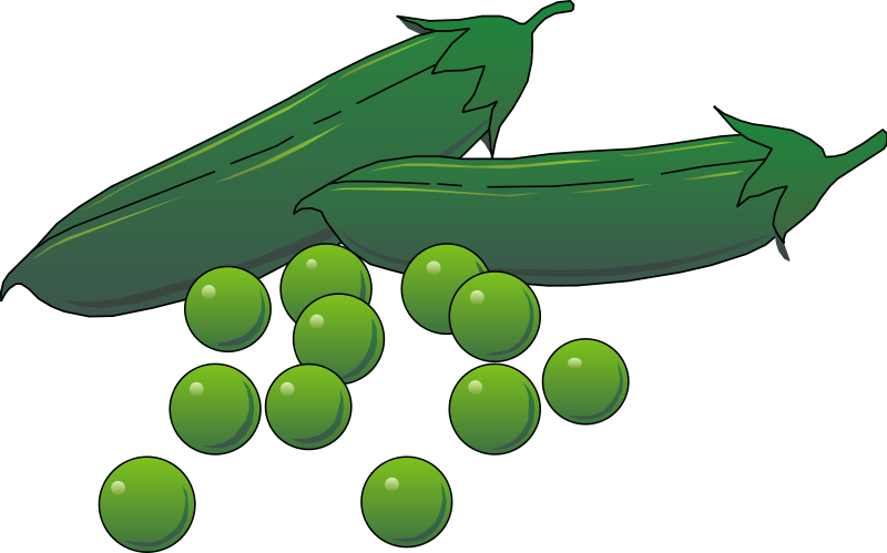 Peas Drawing Family - Give Peas A Chance Bib (800x499), Png Download