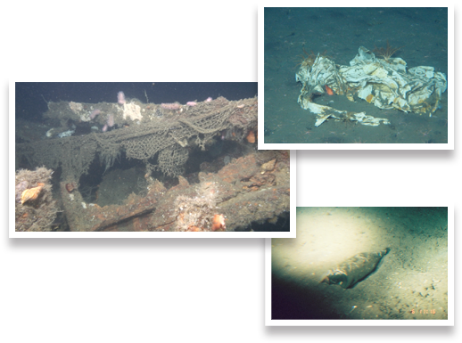 Deep Sea (600x429), Png Download