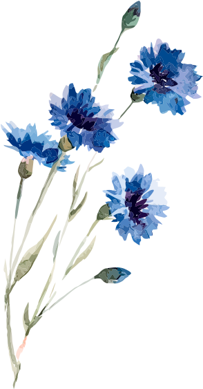 Blue flowers drawing hi-res stock photography and images - Alamy