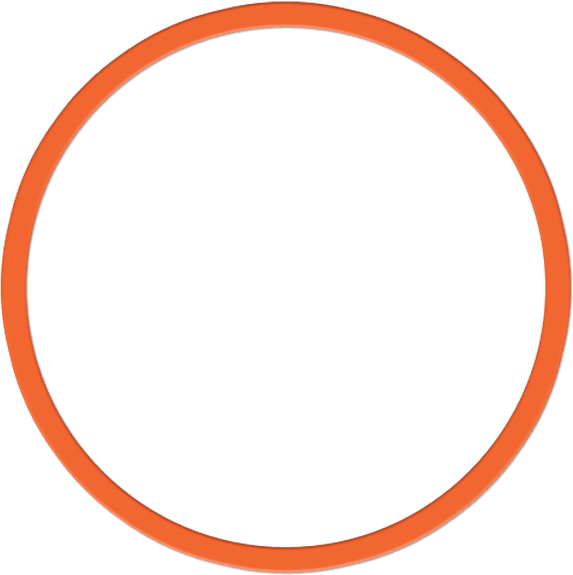 Inside An Orange Bird Orange Circle Logo Pictures To - Orange Circle Outline Png (573x575), Png Download