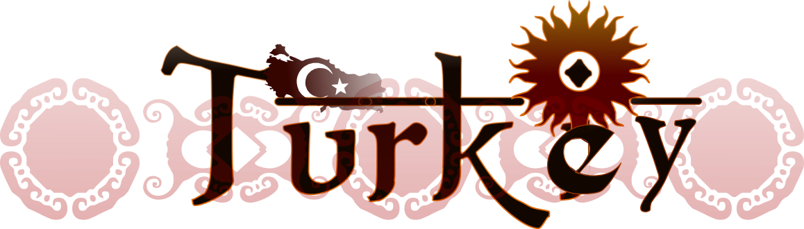 Turkey Self Project Logo - Zaaika Indian Restaurant Medellín (1158x330), Png Download