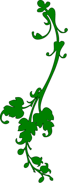 Vine Png Clip - Transparent Background Vines Clipart (227x607), Png Download