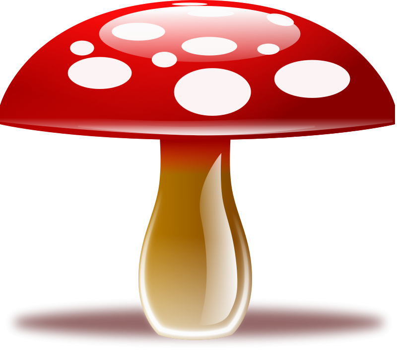 Mushroom Clipart Png (800x704), Png Download