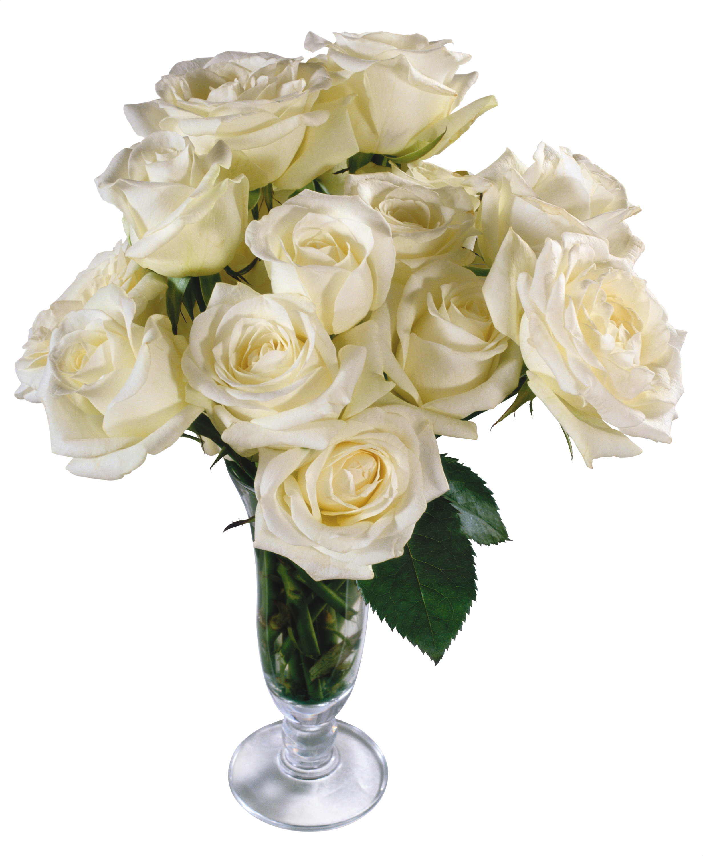 White Roses Png Free Download - Vase Flowers Transparent Background (600x730), Png Download
