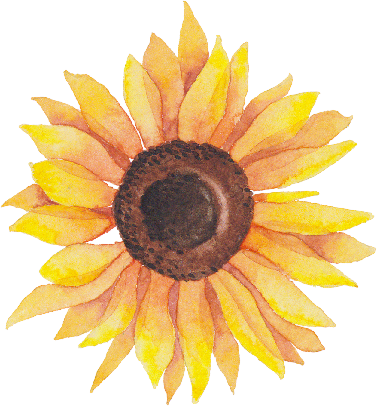 Svg Library Library Self Portraits Catherine Holmes - Watercolor Sunflower Transparent (1255x1350), Png Download