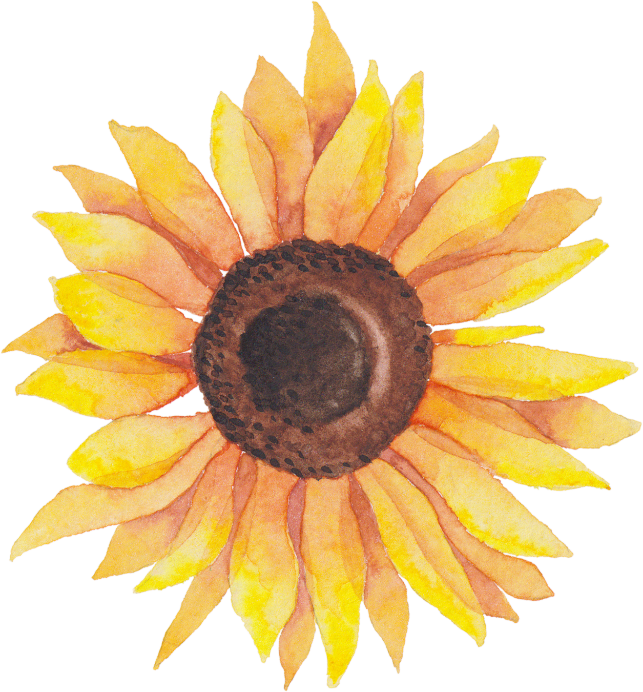 Download Download Svg Library Library Self Portraits Catherine Holmes Watercolor Sunflower Transparent Png Image With No Background Pngkey Com