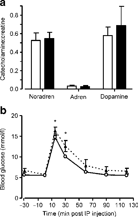 Norepinephrine), Adrenaline (adren, Epinephrine) And - Adrenaline (468x735), Png Download