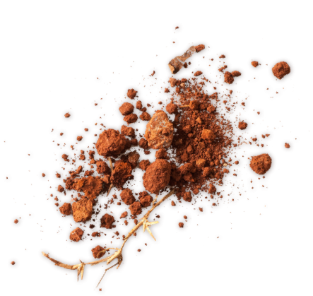 Picture Of Dirt - Illustration (443x419), Png Download