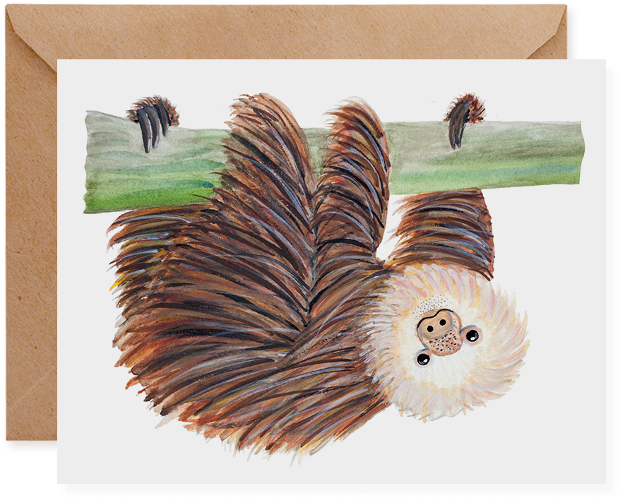 Three Toed Sloth - Sloth (888x977), Png Download