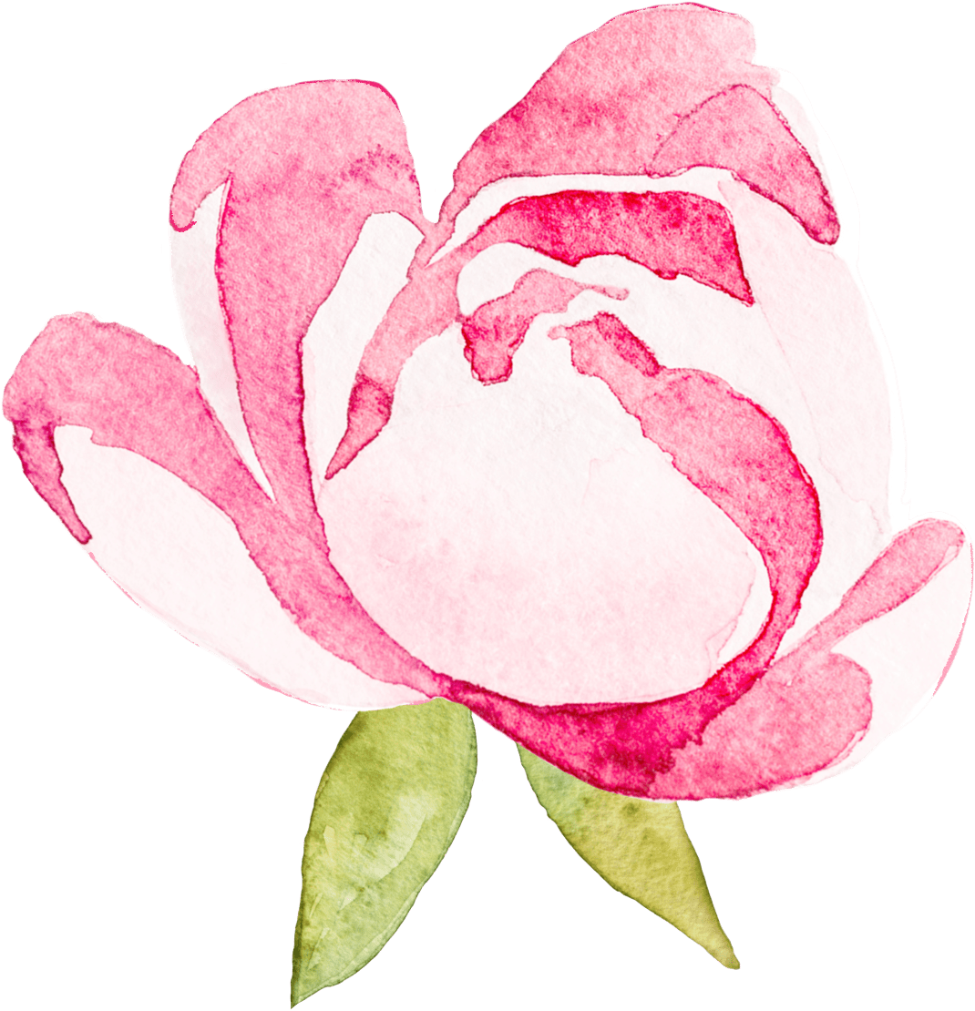 1 - Garden Roses (1358x1331), Png Download