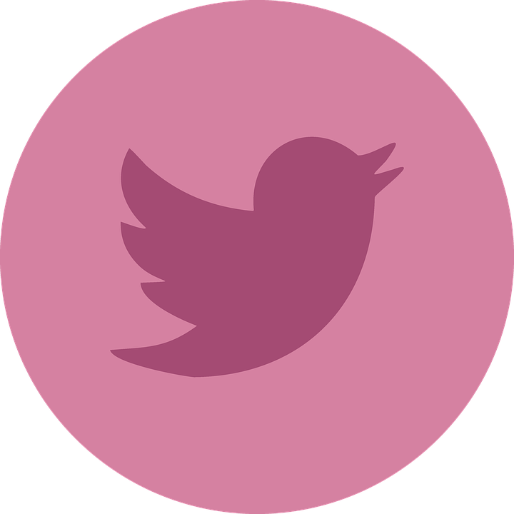 Twitter, Social Media, Social, Networking, Internet - Twitter Pink Logo Png (640x640), Png Download