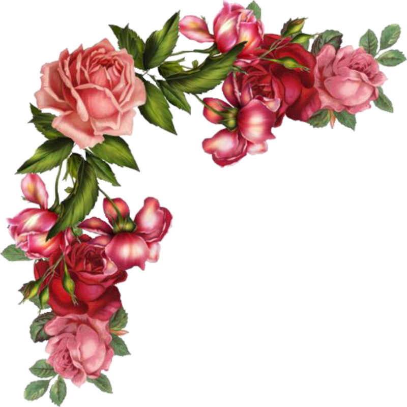 Free Free 214 Flower Svg Transparent Background SVG PNG EPS DXF File