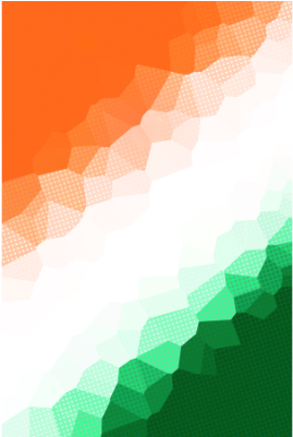 Download Viagra Price, Pfizer Viagra Pharmacy - Tiranga T Shirt Png PNG  Image with No Background 