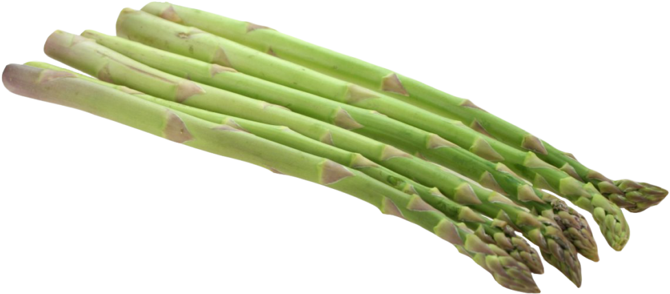 Asparagus Png Clipart - Asparagus Png (1024x488), Png Download