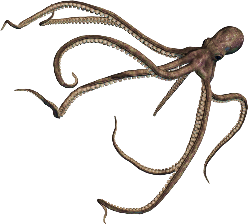 Octopus Png Pic - Octopus Png (964x829), Png Download