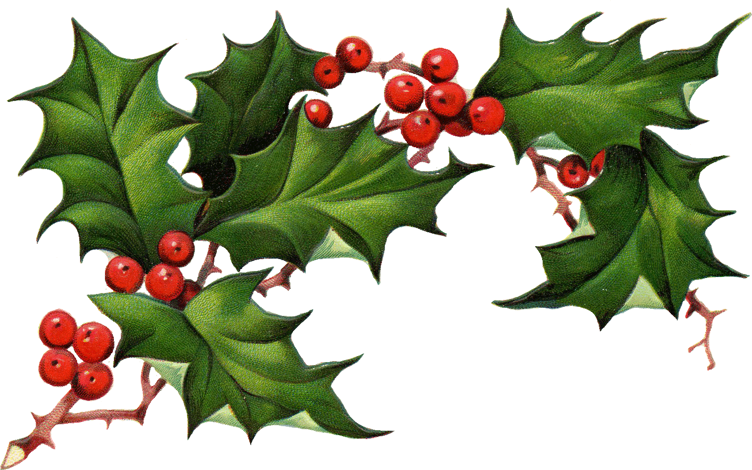 Free Download Christmas Ivy Clipart - Christmas Elements Png (1532x965), Png Download