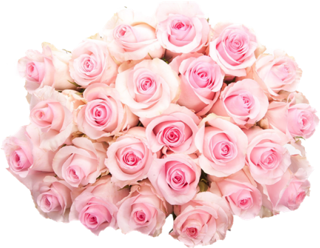 Pink Roses Flowers Bouquet Png Pic - Flower Bouquet (780x975), Png Download