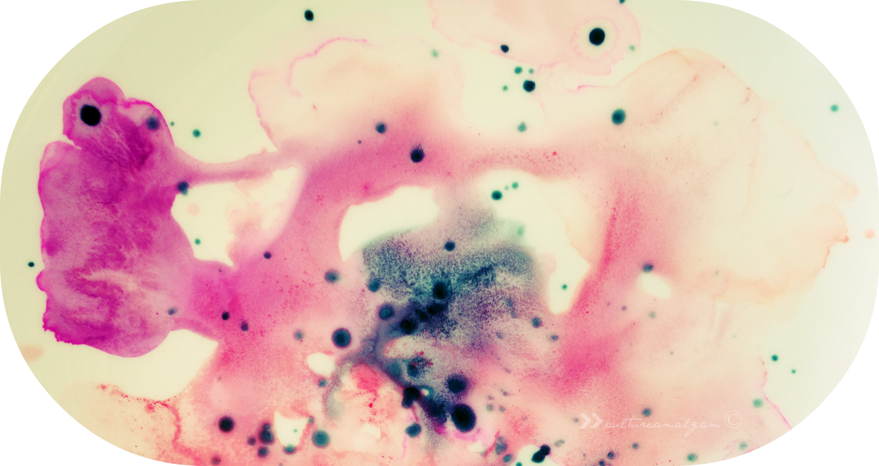 Header - Ice Cream (2831x1503), Png Download