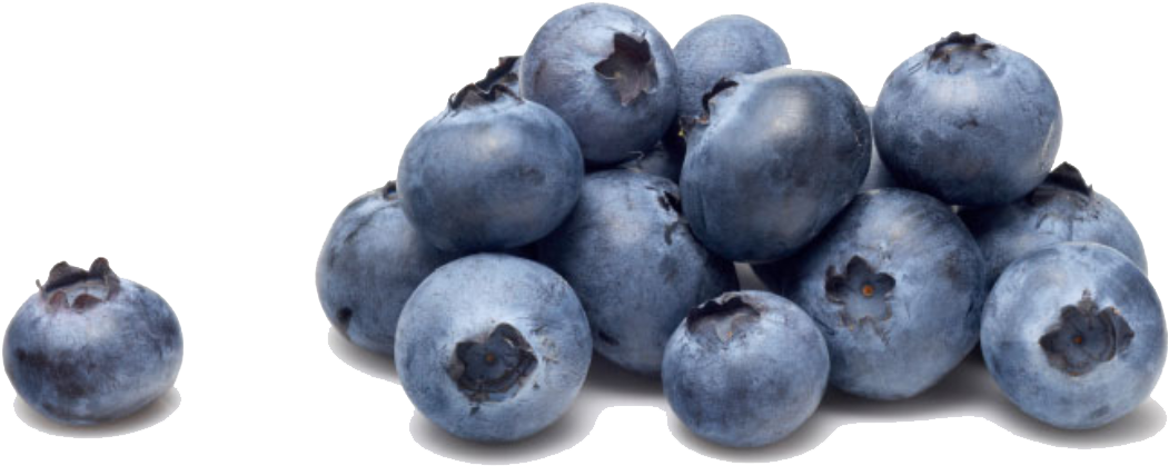 Blueberries (1200x900), Png Download
