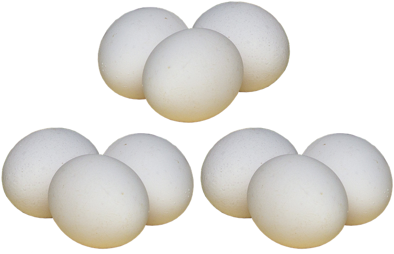 White Egg Png Photo - Hen Egg Png (948x720), Png Download