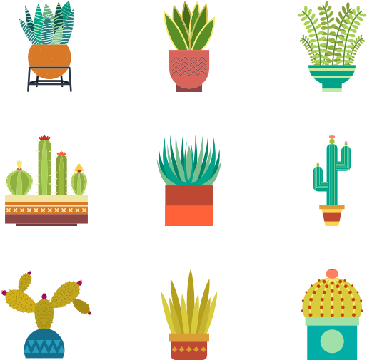 Cactus Collection - Cactus Png Icon (600x564), Png Download