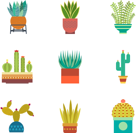 Cactus Collection - Cactus Png Icon - Free Transparent PNG Download ...