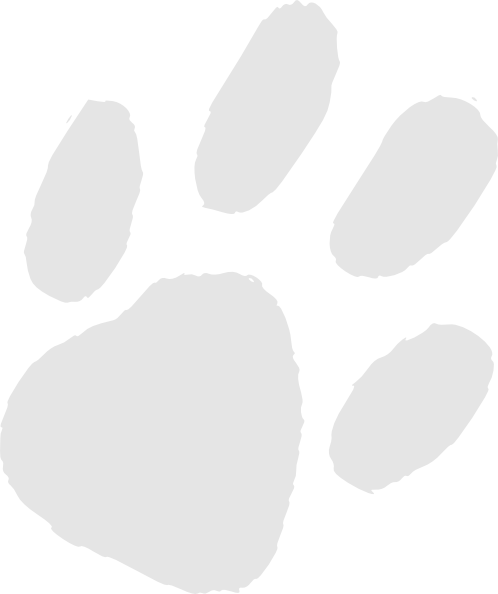 How To Set Use Very Light Gray Paw Print Icon Png (498x594), Png Download