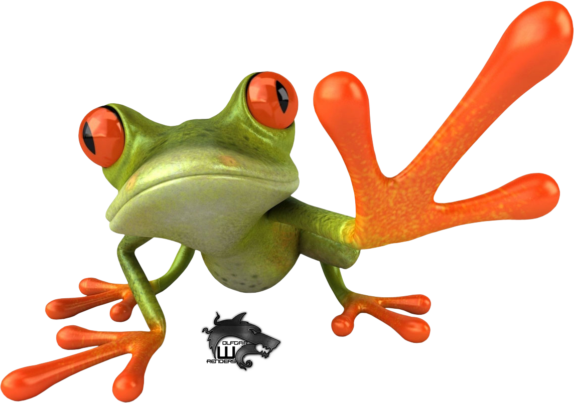 Frog Png (1144x804), Png Download