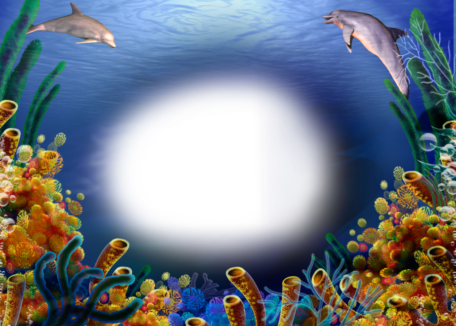 Water Hd Transparent Photo Frames (900x643), Png Download