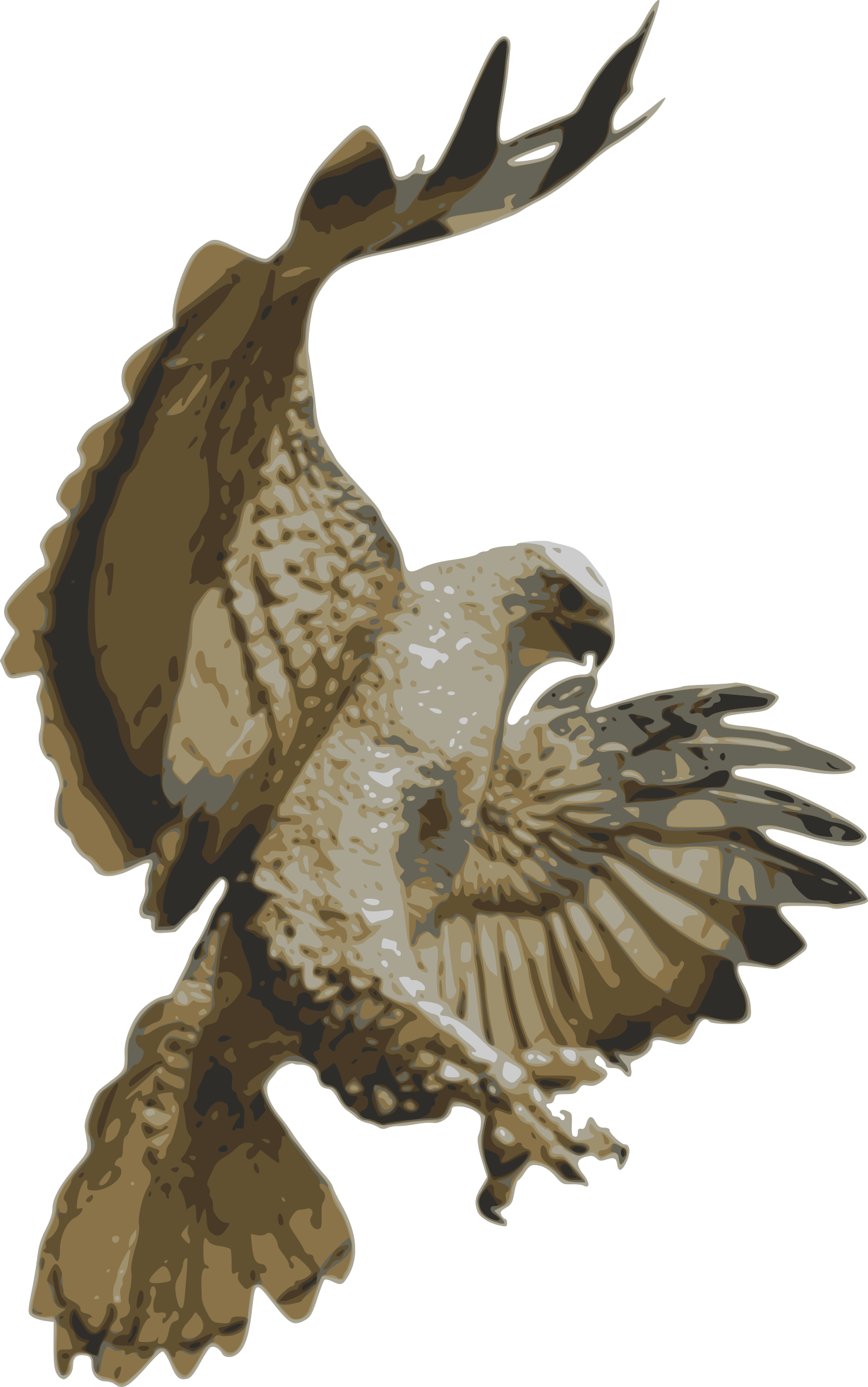 Hawk Pouncing (563x900), Png Download