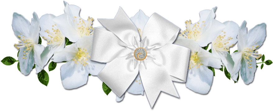 White Rose Border Png Picture Royalty Free - Flower (900x379), Png Download