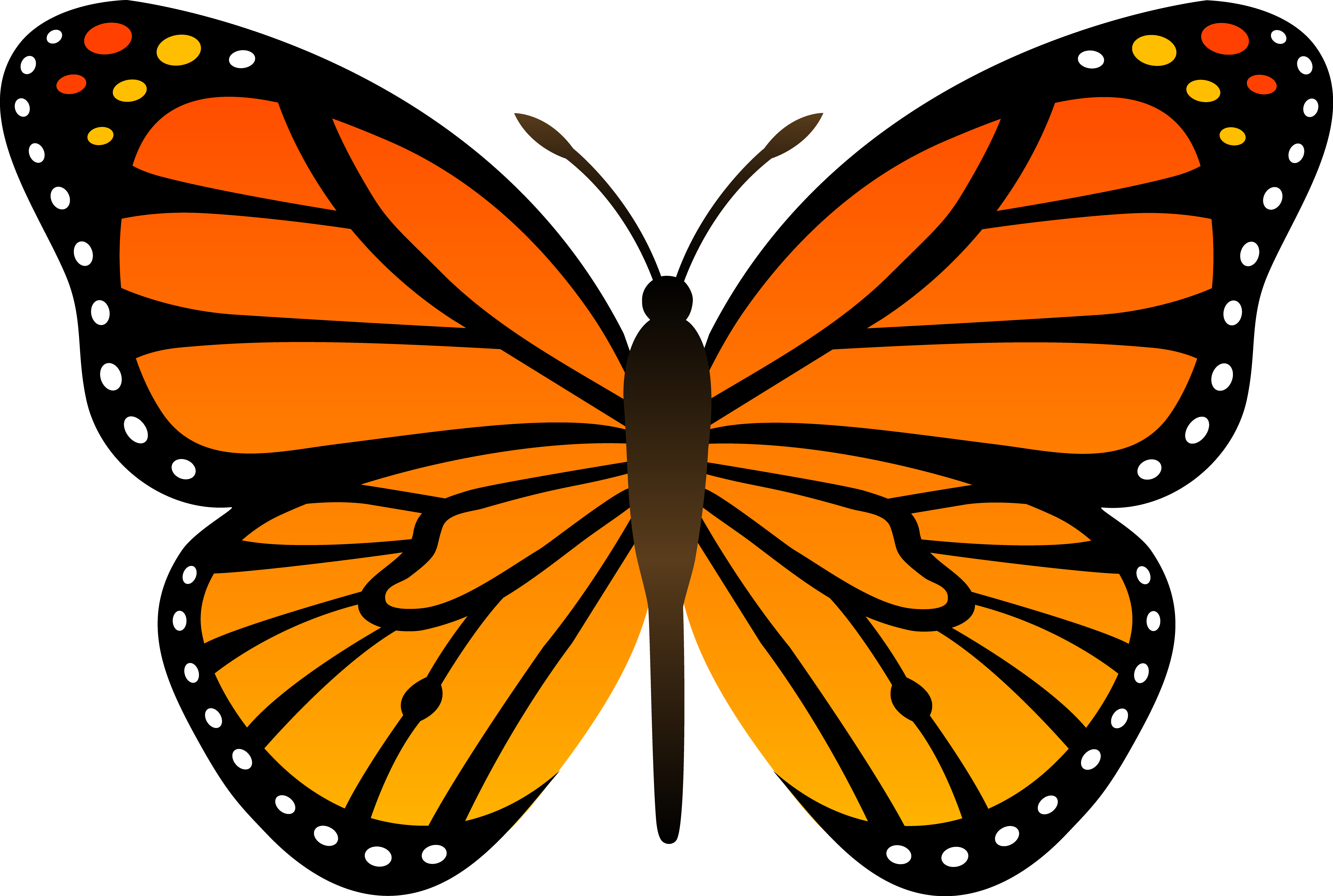 Monarch Butterflies Clipart Library Com Images Dt9x5kn9c - Monarch Butterfly Clipart (5920x3982), Png Download