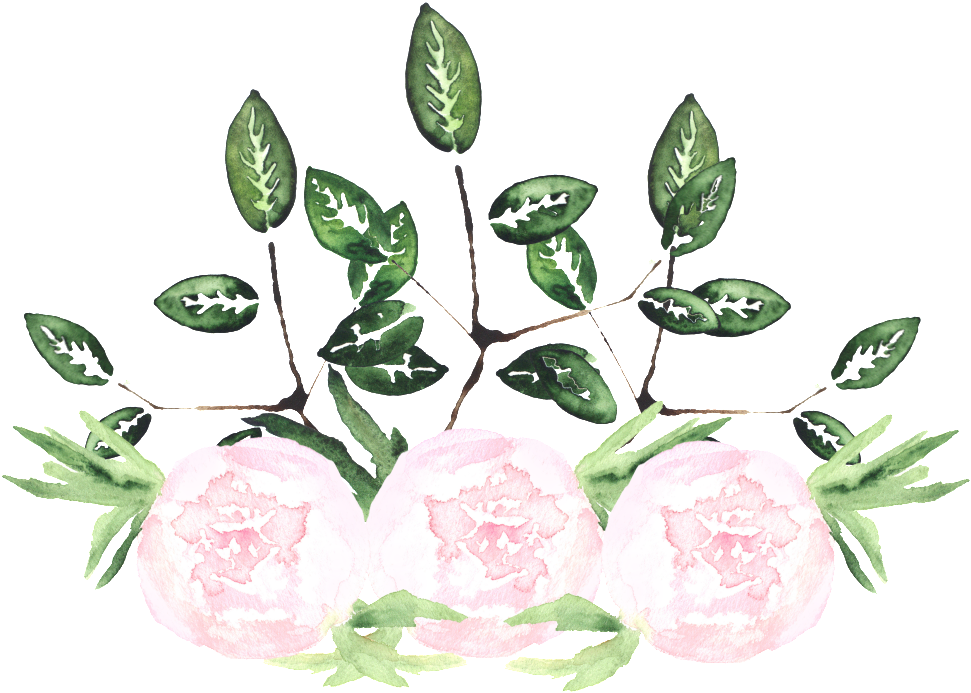 This Graphics Is White Noble Flower Transparent Decorative - Watercolor Painting (1024x835), Png Download