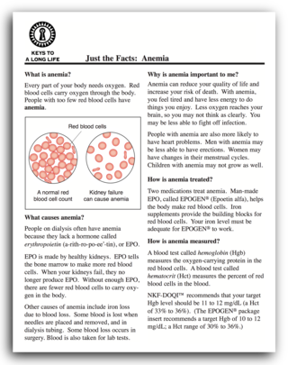 Fact Sheets - Life Options (320x405), Png Download