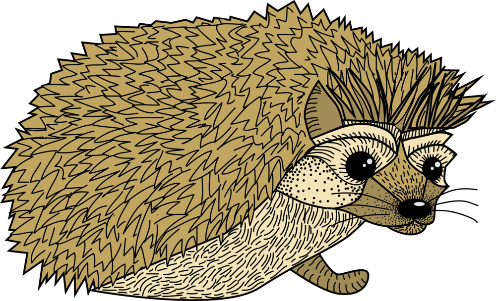 Hedgehog (1000x608), Png Download